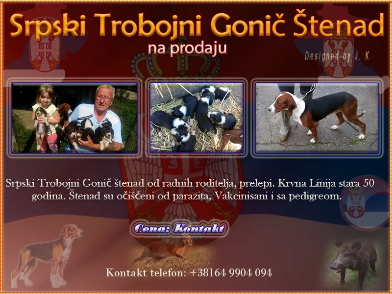 Srpski Trobojni Gonič
