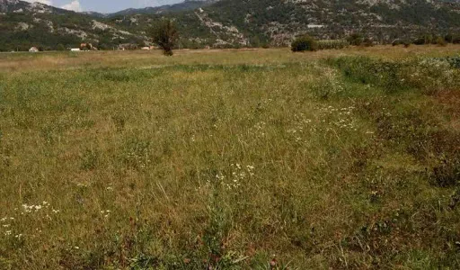 Imanje na Grahovu