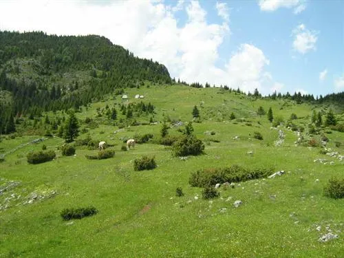 Zemlja na Žabljaku