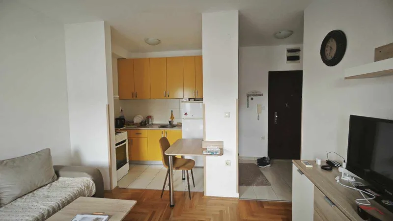 Novi Sad, izdajem namešten stan