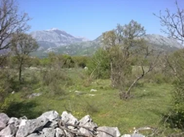 PRODAJEM POLJOPRIVREDNO ZEMLJIŠTE U DOBRE VODE, BAR