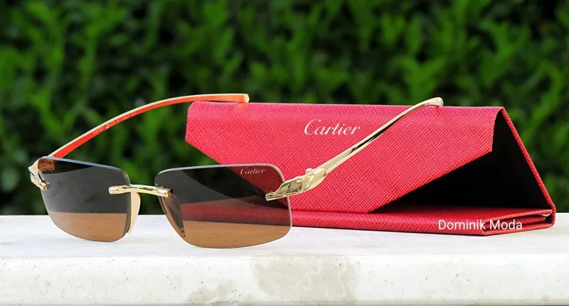 CARTIER Muske naocare