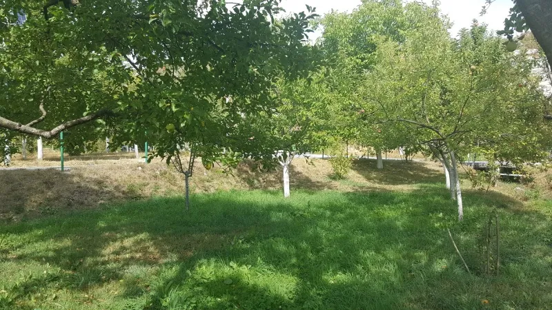Prodajem plac 500m2