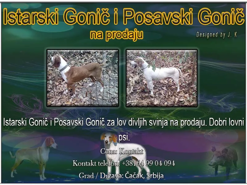 Istarski Gonič i Posavski Gonič