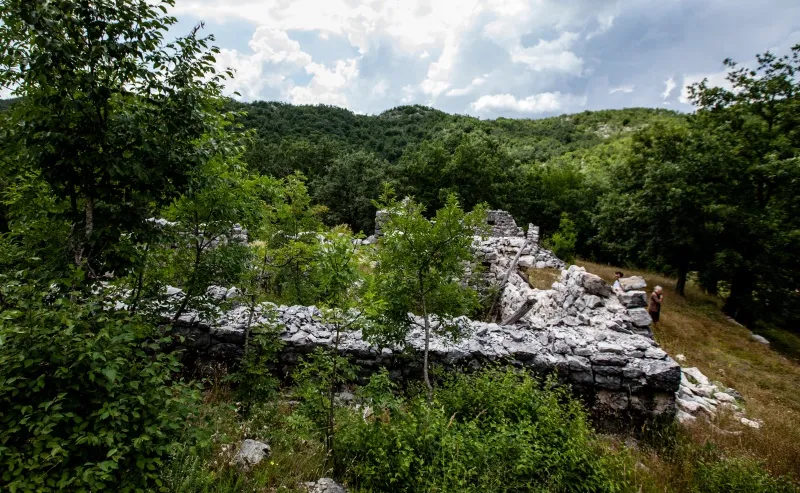 38 ha KLASIRANE ZEMLJE ,TRESNJEVO,KOBILJI DO, 3€/m2