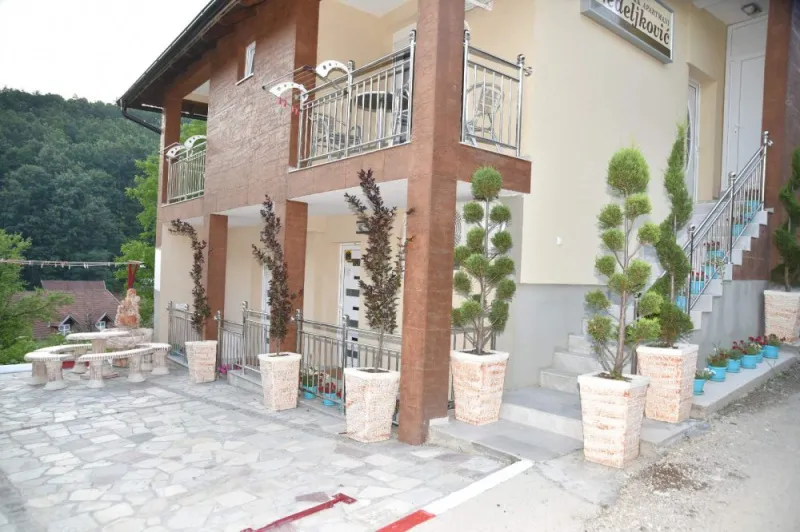 Apartmani Vila Nedeljkovic u banji Gornja Trepca