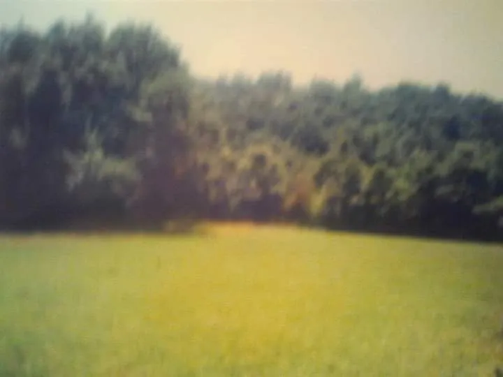 Povoljno prodajem poljoprivredno porodicno imanje