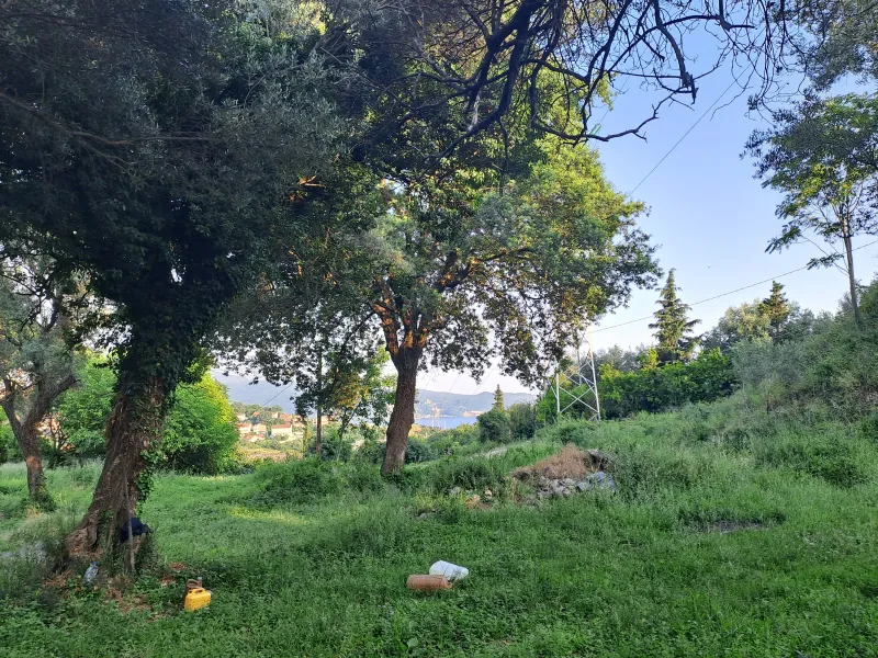 Plac od 6000 m2 u Herceg Novom, KO Podi