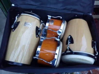 konge i bongosi Tycoon