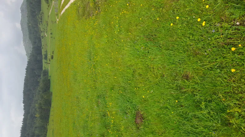 Zabljak zemlja