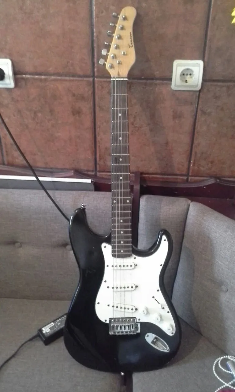 elektricna gitara