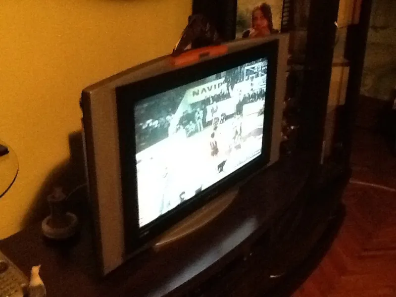 prodajem tv