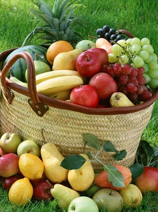 Branje voca - potreban posao branja voca