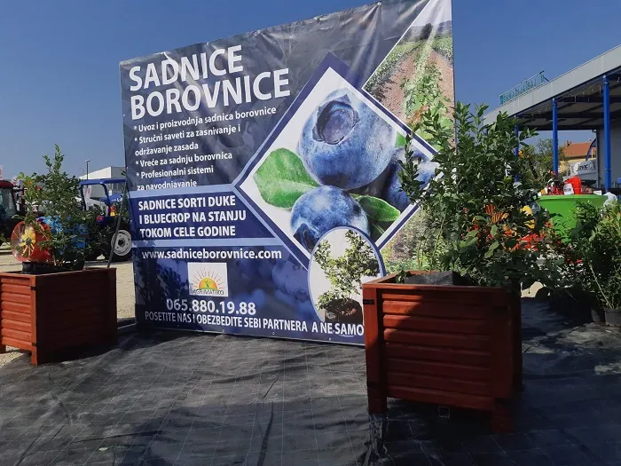  Agrimatiko Borovnica