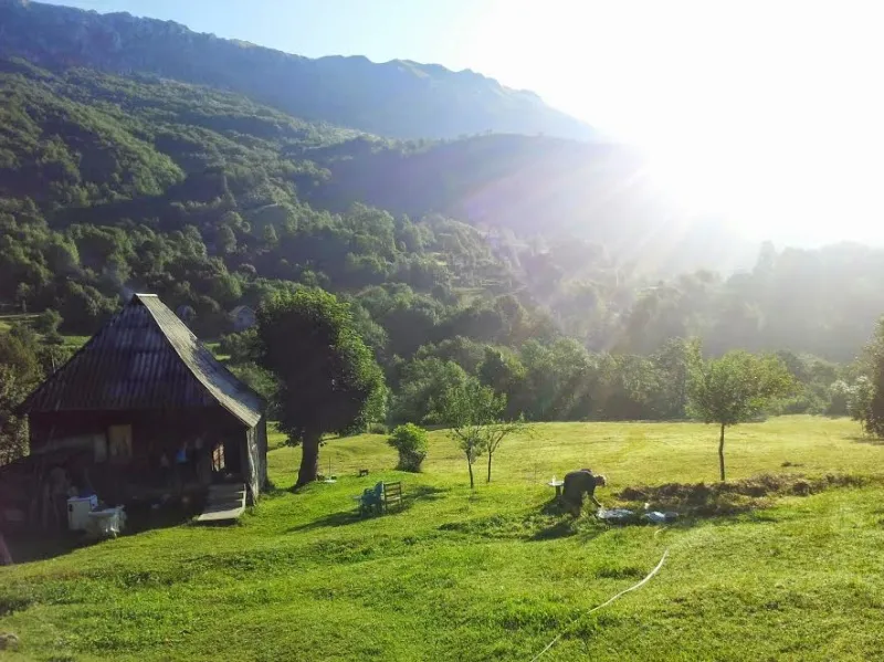 Prodaje se 22050 m2 u Kolašinu (Gornje Lipovo)