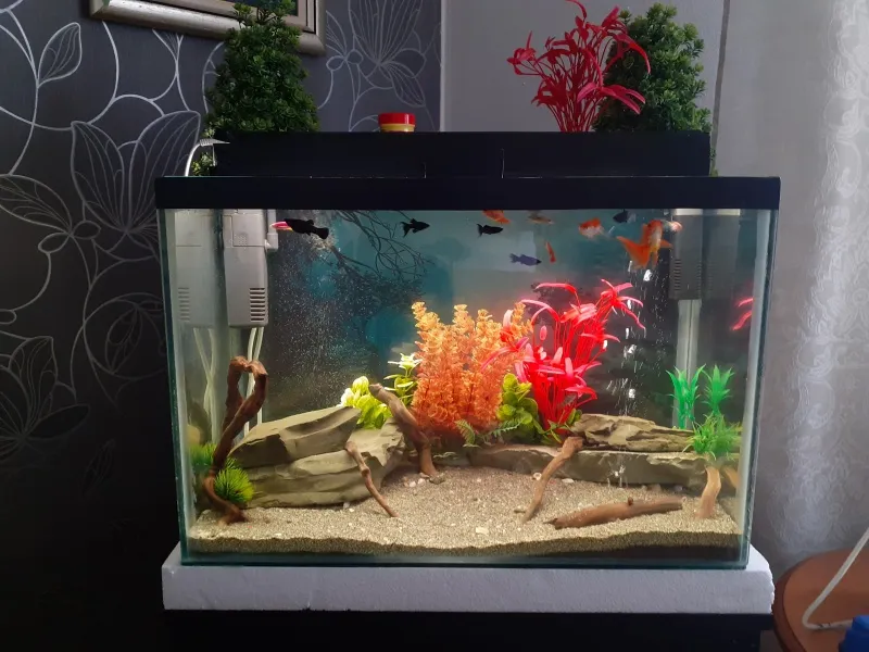 Akvarijum full