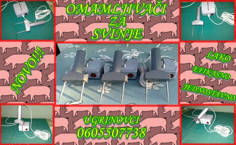 Omamljivaci za svinje (ORIGINAL) 