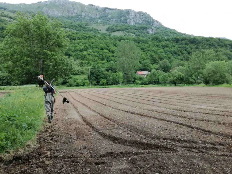 Lipovo