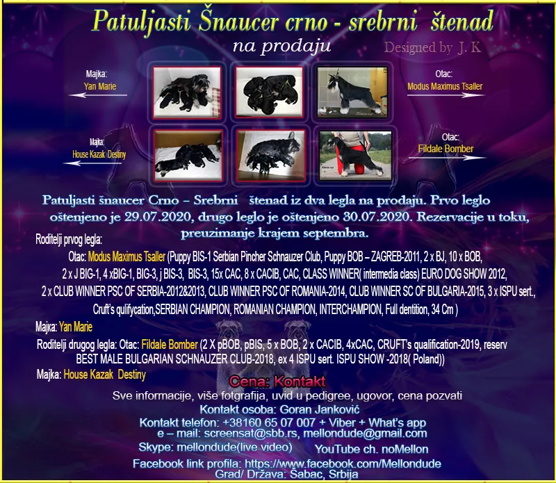 Patuljasti Šnaucer crno - srebrni štenad na prodaju