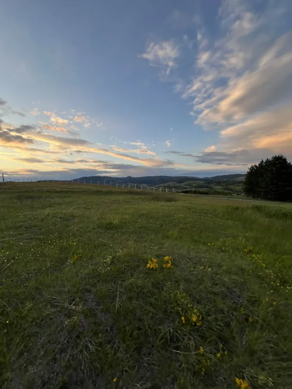 Prodaja placa u selu Ljutice-Tometino Polje