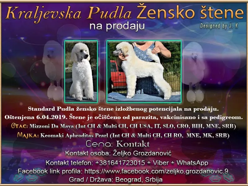 Kraljevska Pudla