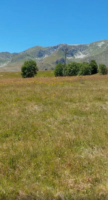 Plac na Zabljaku