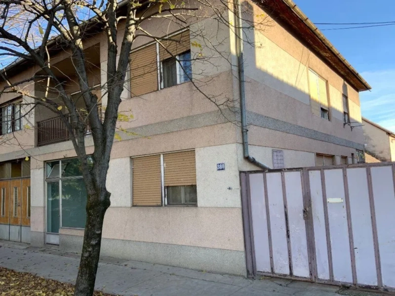 Porodična kuca sa velikim placem u Novosadskoj ulici-Temerin