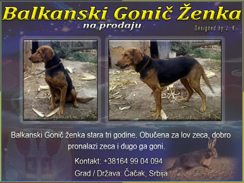 Balkanski Gonič 