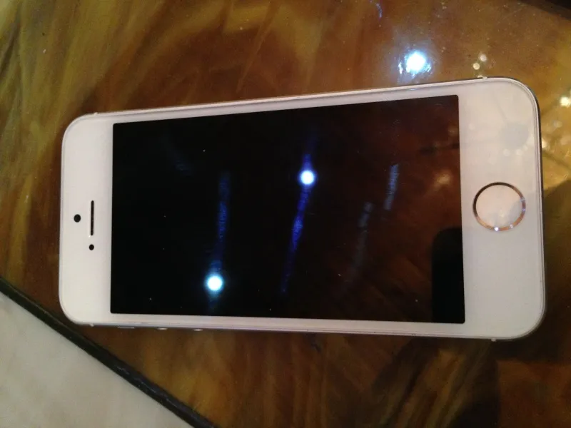 Apple Iphone 5S