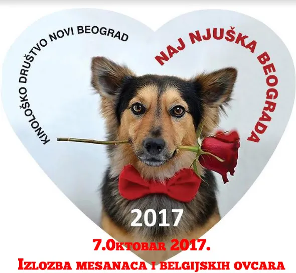DVE IZLOŽBE PASA U JEDNOM DANU!
