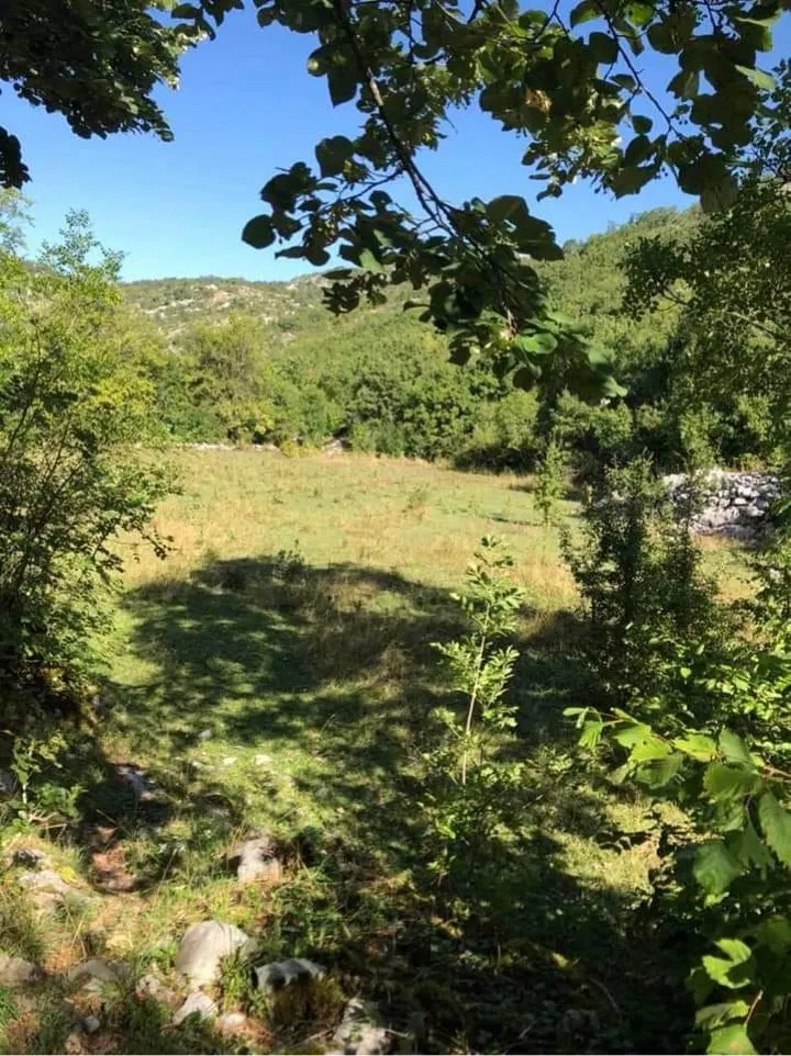 Zemlja, površine 366.500 m2 u selu Trešnjevo