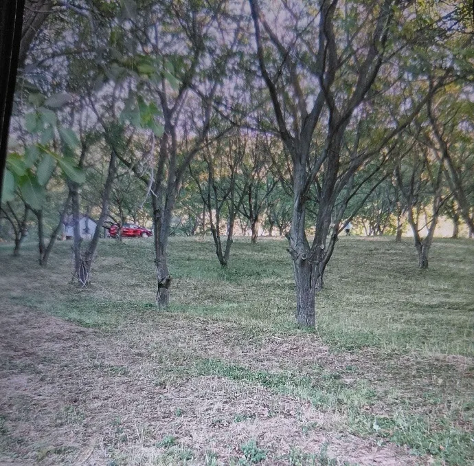 Na obroncima Fruske Gore 5ha zemlje u komadu