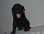 Slika 2