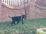 Slika 5