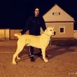 Slika 3
