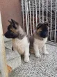Slika 5