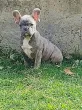 Slika 2