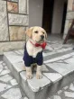 Slika 3