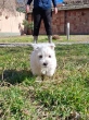 Slika 5