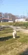 Slika 1