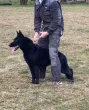 Slika 2