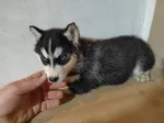 Slika 1