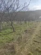 Slika 1