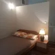 Slika 1