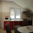 Slika 1