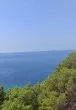 Slika 1