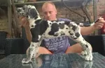 Slika 2