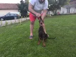 Slika 1
