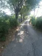 Slika 5