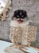 Slika 4